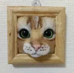 羊毛フェルト ひょっこり茶トラ猫