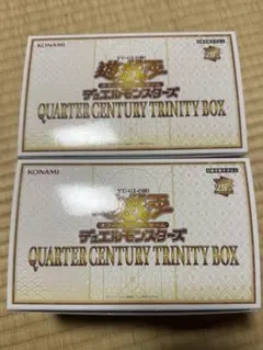 遊戯王　クォーターセンチュリートリニティボックス　P.U.N.K-パンク　2箱