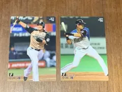 中田翔　日本ハムファイターズ　プロ野球チップスカード２枚セット
