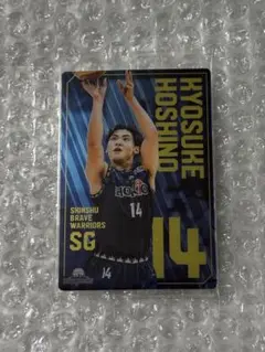 Item thumbnail for item 3dcdf33d-3121-42cc-b0f5-1cce05504cbb