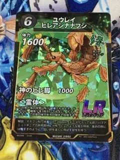 ユウレイヒレアシナナフシ