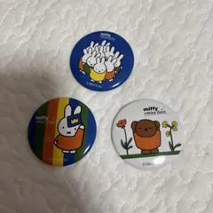 Item thumbnail for item 27e87437-432d-4e75-a463-b7b5fe8650e1