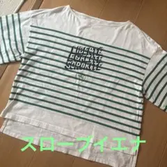 SLOBE IENA スローブイエナ ワイドボーダーカットソー 緑 綿100