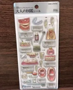 大人の図鑑シール 3D歯編 カミオジャパン