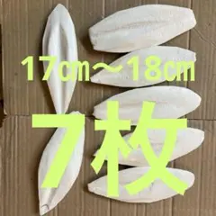 Item thumbnail for item baa5def3-2462-4d41-8891-33942d283ced