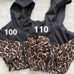 Item thumbnail for item 3933e86d-8281-4252-9797-2f1e004ce752