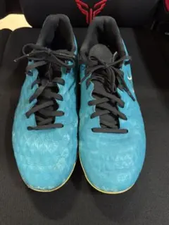 Item thumbnail for item 87d94018-60fb-4e3d-90b4-6f1d08c3924b