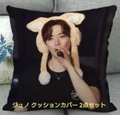 2PMジュノ 45×45クッションカバー | Mercari