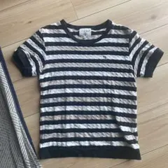 アーノルドパーマー　ストライプ 半袖Tシャツ カラフルロゴ