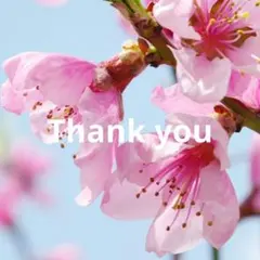 くまごろう様 リクエスト 3点 まとめ商品