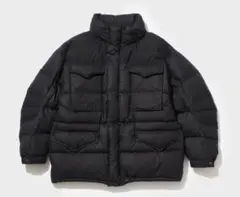 【最終値下】ザ・ノース・フェイス パープルレーベル フィルドダウンジャケット