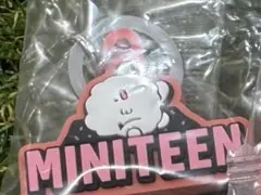 MINITEEN ミニティーン めじるしチャーム SEVENTEEN ウジ