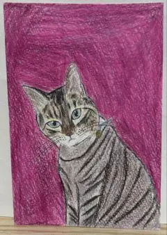 色鉛筆画A4 見上げる瞳 キジトラ猫 - メルカリ