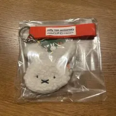 Item thumbnail for item e2dee108-43f4-4b5d-9182-1951043c14ad