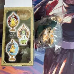 ポケモン　カイリュー オーバルティークコレクション　リーメント