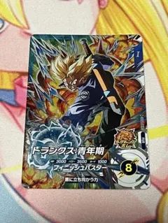 ダイバーズ　トランクス　PUR