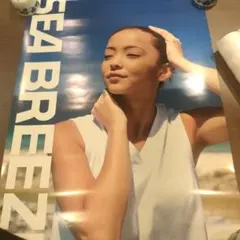 非売品超激レア安室奈美恵シーブリーズ等身大未使用品未組立品 - メルカリ