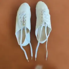 Item thumbnail for item 326c2d8e-46e0-4e69-9e10-a79bd504fadd