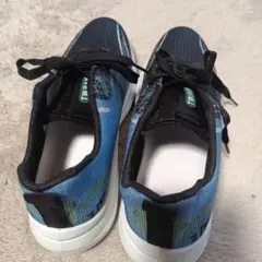 Item thumbnail for item e6175d4f-22dc-4583-a6ae-6f1f09ab3e42