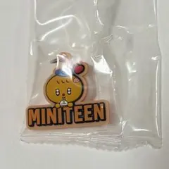 SEVENTEEN MINITEEN ミニティーン　スングァン