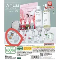 Anua ミニチュアチャーム