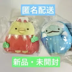 【匿名配送】すみっコぐらし 京都 美のるつぼ とかげ、ぺんぎん？セット