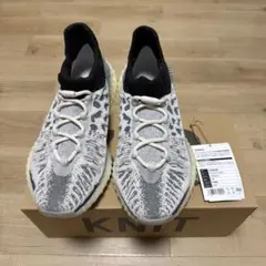 adidas YEEZY Boost 350 V2 CMPCT 28.0cmのサムネイル