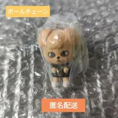 SKZOO つまんでつなげてますこっと でらっくす！ スンミン PuppyM ①