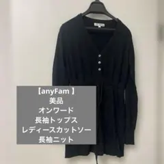 【anyFam 】美品　オンワード　レディース長袖トップス　レディースニット