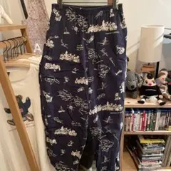 Item thumbnail for item 751b8cbb-cc95-4185-a121-154d59c8e461