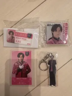 超特急 カイ エビライグッズ ネームバッジ トレカ