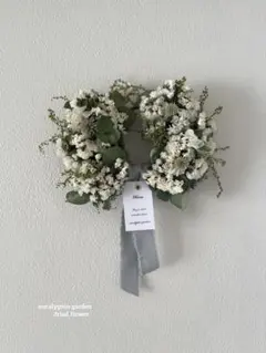 ホワイトスターチスのミニハーフリース