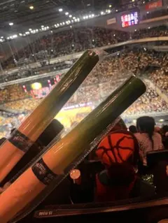 Item thumbnail for item 6ec124a6-e6fd-46b8-827f-b95c7cd58899