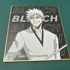 BLEACH トレーディングミニ色紙 白一護