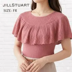 ジルバイジルスチュアート 透かし編みフリルリブニット ピンク Fサイズ 美品のサムネイル