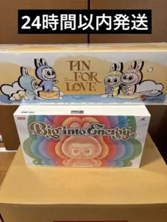 ラブブ　Big into Energy PIN FOR LOVE シリーズ