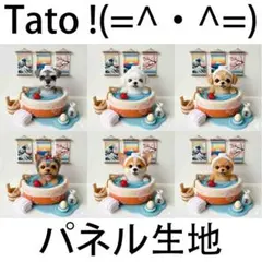 Tato !(=^・^=)パネル生地 いぬの癒やし湯 D54