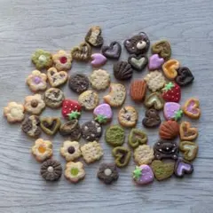 お試し商品☆ぱーてぃーみっくす