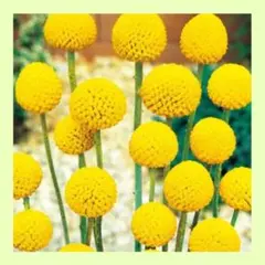 たろちゃん様 リクエスト 3点 まとめ商品