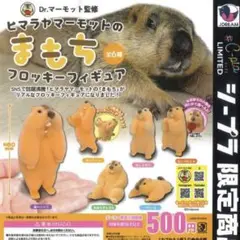 ヒマラヤマーモット　ガチャ