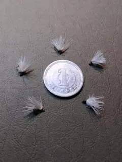 Item thumbnail for item 197157f7-a521-4197-8cb5-17ce70341ccf