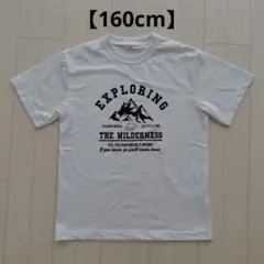 【160cm】Tシャツ