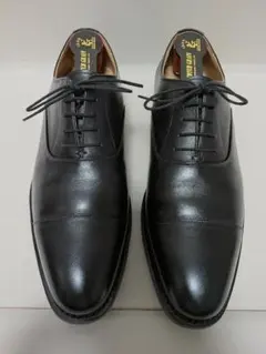 SCOTCH GRAIN 革靴 R1813 26.0cm(E)のサムネイル