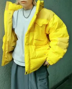 希少 ノースフェイス パープルレーベル Field Down Jacket 美品