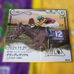 値下げしました。競馬 サイン入り写真 木製フレーム。グランアレグリア。 2026年最新】グランアレグリア サインの人気アイテム - メルカリ