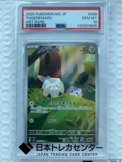 2025 ポケモン M1S JP #075 ヌイコグマ PSA 10 - メルカリ
