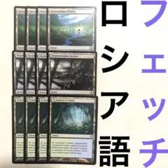 マジック：ザ・ギャザリング - MTG フェッチランド　まとめ売り mtg フェッチランド6種セット フェッチランド(全商品) - MTG専門
