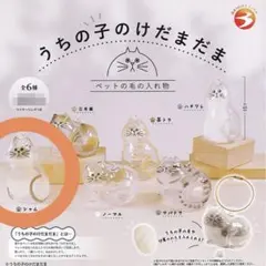 Item thumbnail for item 4166b68d-e3b9-4dd7-987e-d7a77527cd51