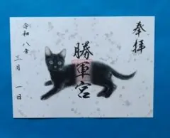 2026年最新】駒込妙義神社の人気アイテム - メルカリ