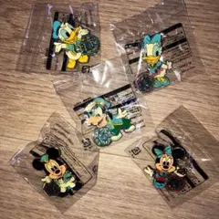 ディズニーシー15周年限定　アブーズバザール　ピンバッジ　5点セット